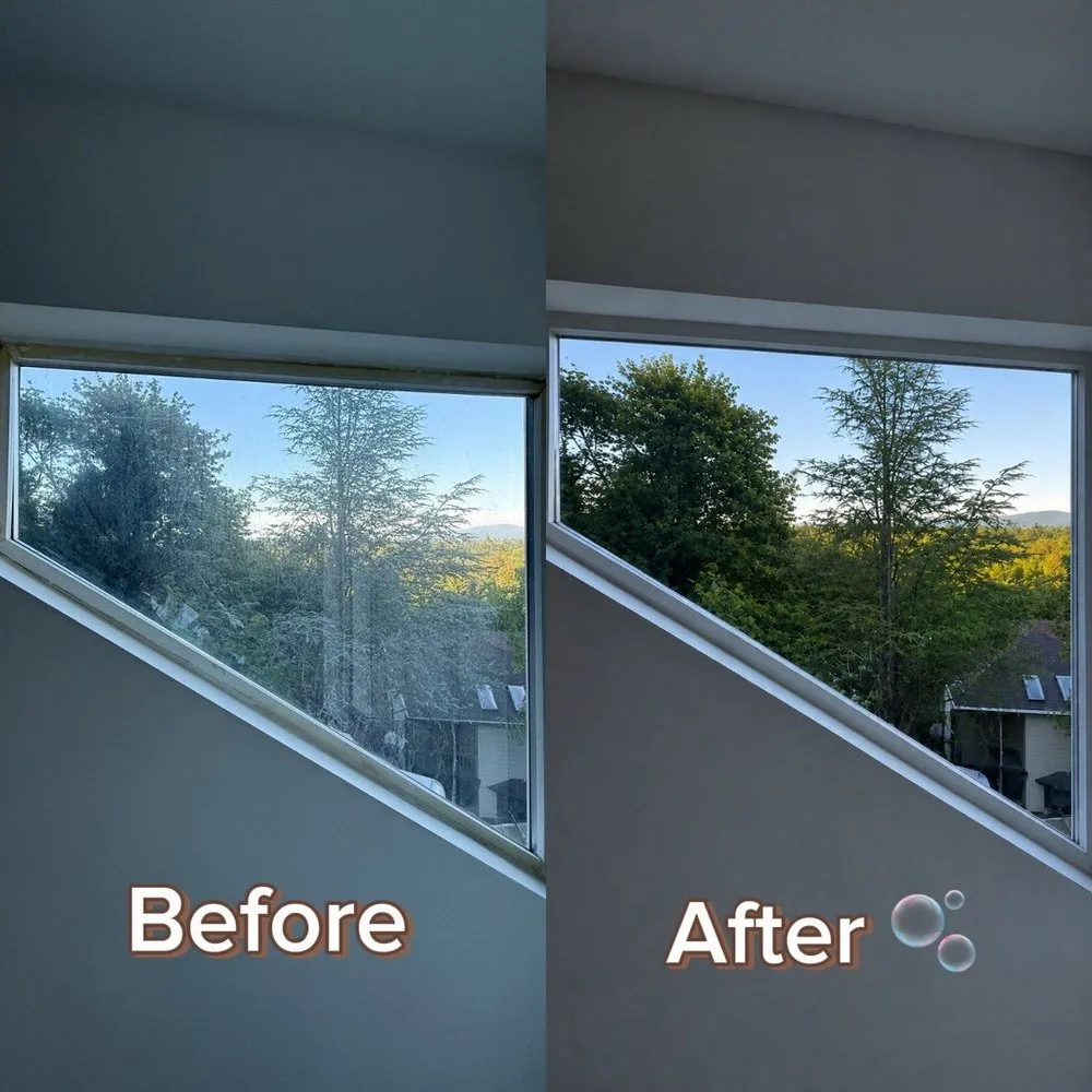 Before and after window washing — clear, spotless panes